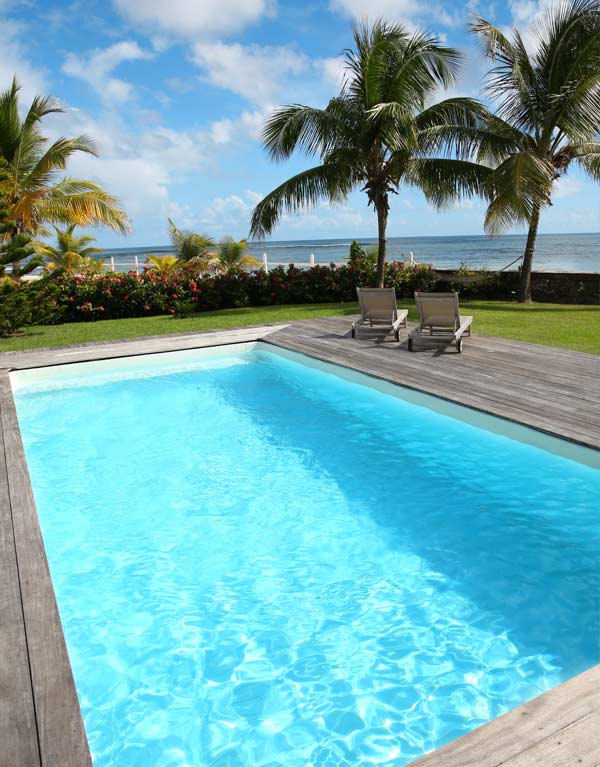 Rectangular backyard swimming pool with timber decking, sun loungers and palm trees